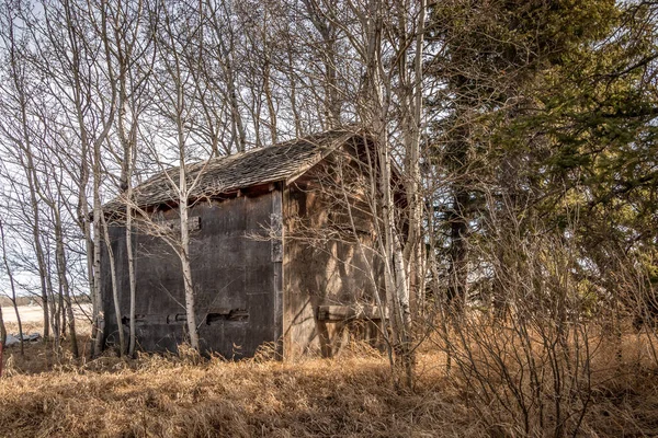 加拿大艾伯塔省埃文斯镇的乡村农场建筑矗立在那里 — 图库照片
