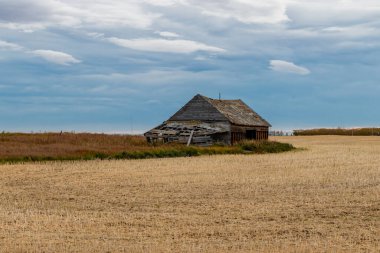 Kırsal çiftlik binaları hala ayakta ve bazıları bölgenin tarihini göstermekten vazgeçti. Mountainview County, Alberta, Kanada