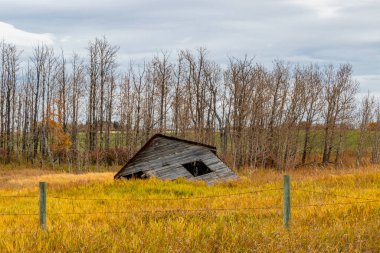 Kırsal çiftlik binaları hala ayakta ve bazıları bölgenin tarihini göstermekten vazgeçti. Mountainview County, Alberta, Kanada