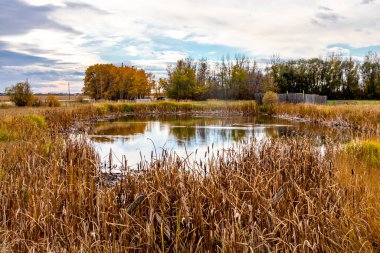 Sonbahar yeşillikleri ve güz göletleri ilçede bir yolculukta en önemli noktalardır. Red Deer County, Alberta, Kanada