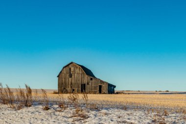 Çiftçi tarlasının ortasında tek başına kırsal bir ahır. Red Deer County, Alberta, Kanada