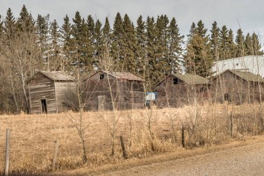 Red Deer County Alberta Kanada 'da kırsal alandaki binaları bataklıklar.