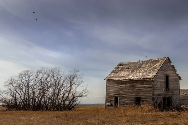 Opuštěné Zbourané Zemědělské Budovy Indus Alberta Canada — Stock fotografie