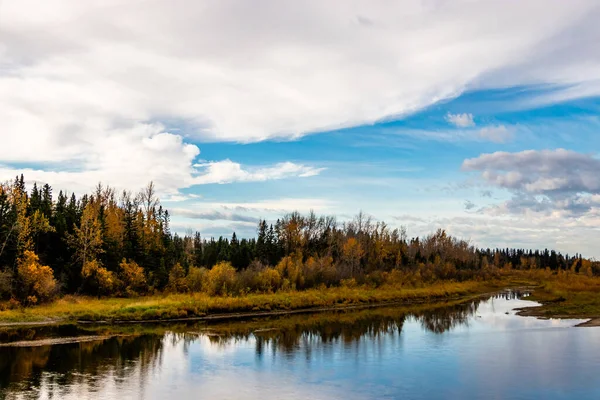Red Deer River Fluye Más Allá Los Colores Otoño Mientras — Foto de Stock