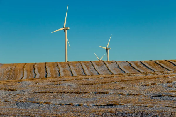 Çayırlarda rüzgâr türbini çiftliği. Red Deer County, Alberta, Kanada