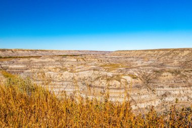At Hırsızı Kanyonu 'na düşüş geliyor. Starland County, Alberta, Kanada