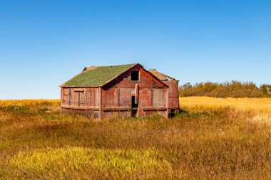 Kırsal çiftlik binaları. Starland County, Alberta, Kanada