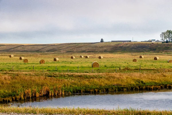 Frisch Gemachte Heuballen Auf Einem Feld Rockyview County Alberta Kanada — Stockfoto