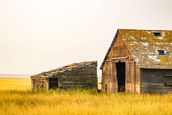 Заброшенные Фермерские Здания Прериях Округ Рокивью Альберта Канада — стоковое фото