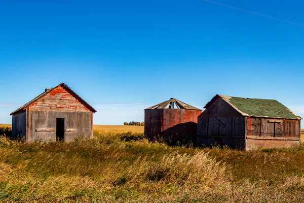 Rustikální Farmářské Budovy Starland County Alberta Kanada — Stock fotografie