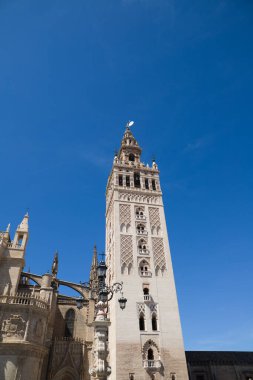Gotik Sevilla katedrali. Sevilla katedralinin kızlarını ve çan kulesini görebilirsiniz. Turizm kavramı ve Avrupa seyahatleri