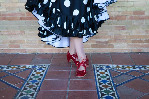 Dettaglio Delle Scarpe Ballo Flamenco Rosso Una Ballerina Flamenco Bruna — Foto Stock