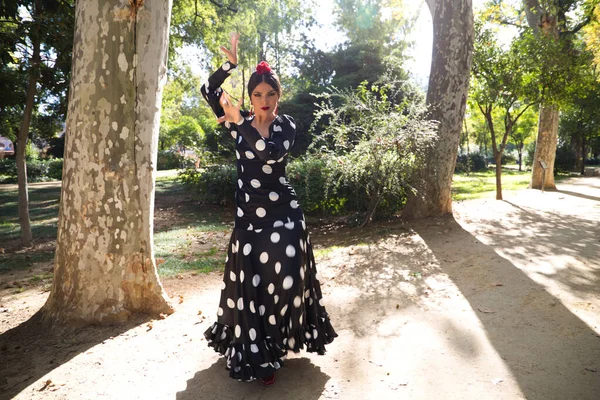 Spanische Schöne Brünette Flamenco Tänzerin Mit Einem Typischen Flamenco Kleid — Stockfoto