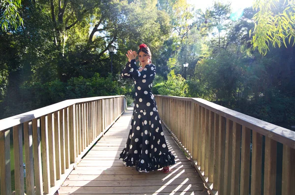 Schöne Brünette Spanische Flamencotänzerin Einem Typischen Flamenco Kostüm Mit Weißen — Stockfoto