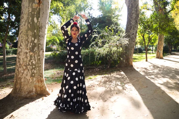 Spanische Schöne Brünette Flamenco Tänzerin Mit Einem Typischen Flamenco Kleid — Stockfoto