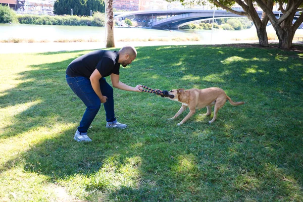 Ein Erwachsener Mann Spielt Mit Seinem Hund Park Und Hat — Stockfoto
