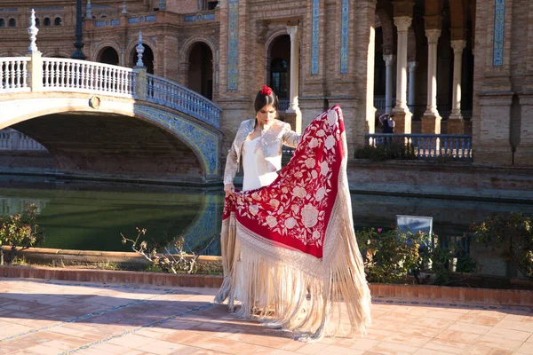 Flamenko dansçısı, kadın, esmer ve güzel tipik İspanyol dansçı Sevilla meydanında kırmızı bir manila şalıyla dans ediyor. İnsanlığın kültürel mirası Flamenko kavramı.