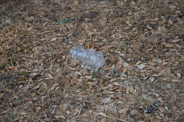 Botella Plástica Contaminada Tendida Suelo Sobre Hojas Secas Bosque Concepto — Foto de Stock