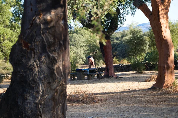 Sportif Mature Faisant Yoga Dans Forêt Sur Une Table Est — Photo