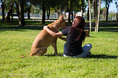 Yetişkin bir kadın parkta köpeğiyle oynuyor ve eğleniyor. Aileden bir kişi daha. Evcil hayvan konsepti. 4 Ekim Dünya Hayvan Günü.