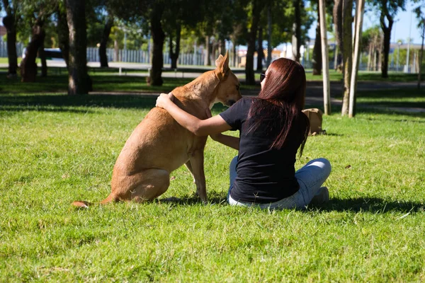 大人の女性は公園で彼女の犬と遊んで楽しんでいます 家族の中でもう一人 ペットのコンセプト 10月4日世界ペットデー — ストック写真