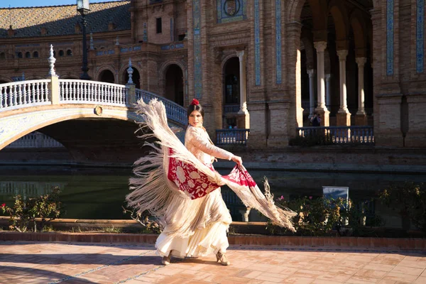 Flamenko dansçısı, kadın, esmer ve güzel tipik İspanyol dansçı Sevilla meydanında kırmızı bir manila şalıyla dans ediyor. İnsanlığın kültürel mirası Flamenko kavramı.