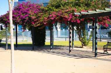 Mor tırmanma çiçekleri olan bir parkın kalesi. Bougainvillea
