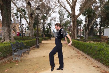 Uzun saçlı ve sakallı, flamenko dansı yapan yakışıklı çingene adam Seville şehrinde bir parkta dans ediyordu. Flamenko, dans, kültür, turizm ve sanat kavramı.