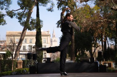 Uzun saçlı çingene adam Seville 'deki bir parkta açık hava sahnesinde flamenko yapıyor ve farklı pozlar veriyor. Flamenko dans konsepti insanlığın kültürel mirası.