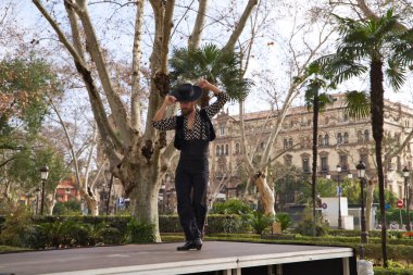 Uzun saçlı çingene adam Seville 'deki bir parkta açık hava sahnesinde flamenko yapıyor ve farklı pozlar veriyor. Flamenko dans konsepti insanlığın kültürel mirası.