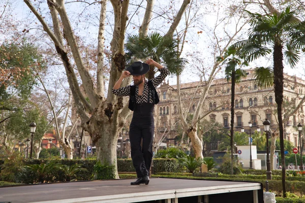 Uzun saçlı çingene adam Seville 'deki bir parkta açık hava sahnesinde flamenko yapıyor ve farklı pozlar veriyor. Flamenko dans konsepti insanlığın kültürel mirası.