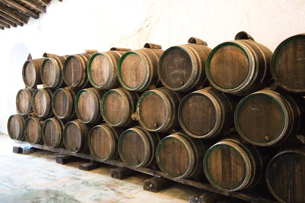 Groupe Tonneaux Bois Provenant Une Cave Vin Espagne Les Tonneaux — Photo