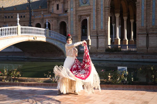 Flamenco Dancer Woman Brunette Beautiful Typical Spanish Dancer Dancing Red — Fotografia de Stock