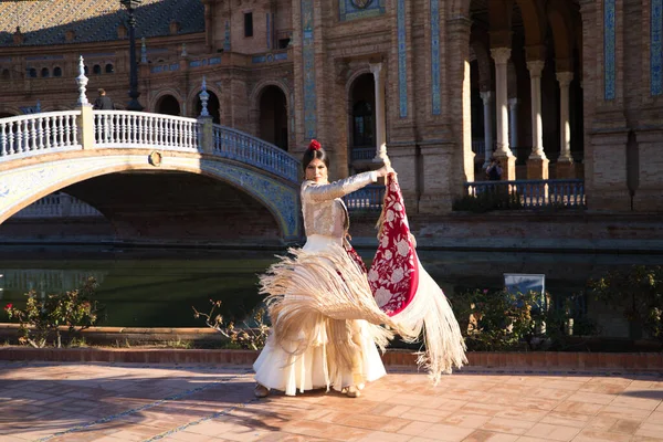 Bailarina Flamenco Mujer Morena Hermosa Bailarina Típica Española Está Bailando —  Fotos de Stock