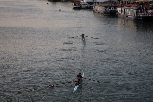 Bir grup kanocu Sevilla 'daki Guadalquivir nehrinde antrenman yapıyor ve yarışıyor. Olimpiyat oyunları ve dünya kano şampiyonası için hazırlanıyorlar. Spor konsepti.