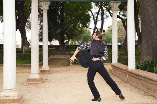 Çingene adam uzun saçlı ve sakallı flamenko dansı yapıyor mermer sütunların yanındaki parkta. Elinde siyah bir şapka tutuyor ve tutkuyla farklı duruşlar sergiliyor. Flamenko dansı.