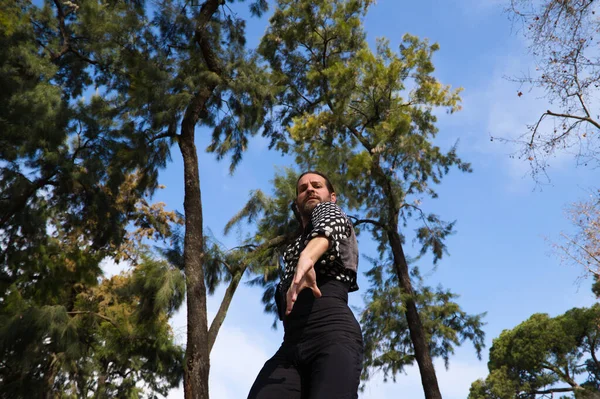 Cikán Dlouhými Vlasy Tančící Flamenco Otevřeném Jevišti Parku Seville Dělá — Stock fotografie