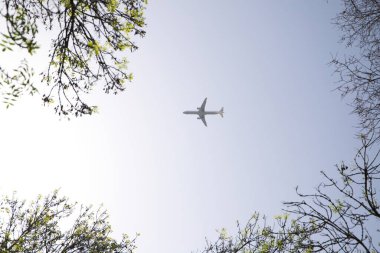 Kurşun ya da beyaz renkli gökyüzünden geçen bir uçak. Şehrin ağaçlarının dalları arasında görülebiliyor. Tatiller ve seyahatler.
