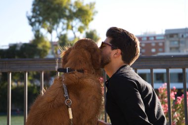 A handsome young man sitting with his golden retriever dog on a bench while giving him a kiss. In the background you can see the river and against the sunlight in the evening. Concept pets, animals.