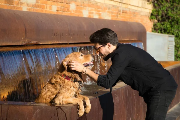 A handsome young man with a beard and glasses puts his brown golden retriever dog in a city fountain to bathe because of the high temperatures. Concept pets, animals, dogs, pet love, climate change.