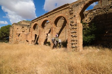 Young and beautiful Spanish woman on a Thoroughbred horse for competition. The woman has gone out to prepare the horse for competition.