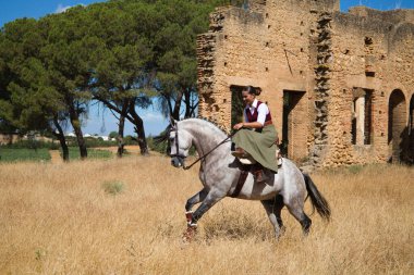 Young, beautiful Spanish woman on a brown horse in the countryside. The horse raises its front legs. She is doing dressage exercises. Thoroughbred and equine concept.