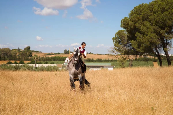Молода Красива Іспанка Коричневому Коні Сільській Місцевості Кінь Піднімає Передні — стокове фото