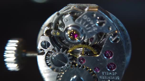 Detailed Zoom Shot Rotating Gears Wristwatch — Stock Video