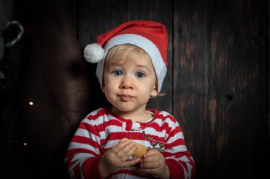 Noel kurabiyesi yiyen tatlı, sarışın bebek. Bebeğin ilk Noel 'i.