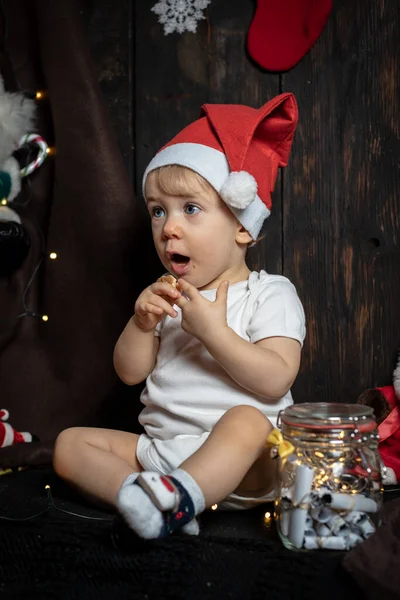 Noel kurabiyesi yiyen tatlı, sarışın bebek. Bebeğin ilk Noel 'i.