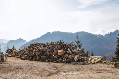 Dağlarda bir yığın odun. Nefes kesici manzara. Renkli duvar kağıdı.