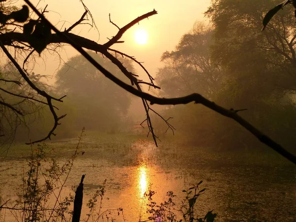 Cenário Mágico Keoladeo Gana — Fotografia de Stock