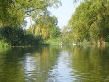 Canoe tour on the Mueggelspree-river near Berlin