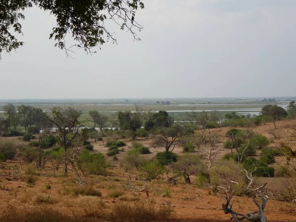 Vista Panoramica Del Parco Nazionale Del Chobe Botswana — Foto Stock